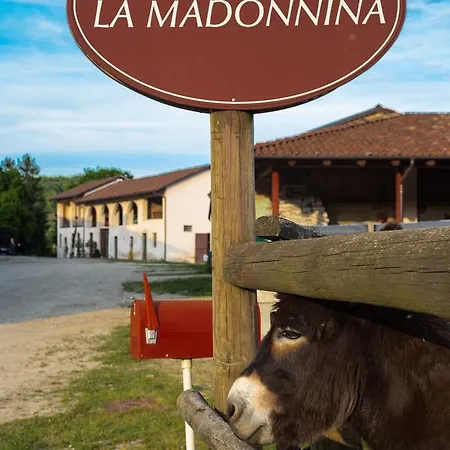 La Madonnina Dore *